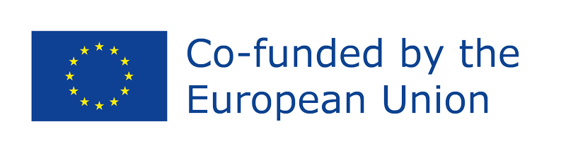 Co-funded by the European Union
